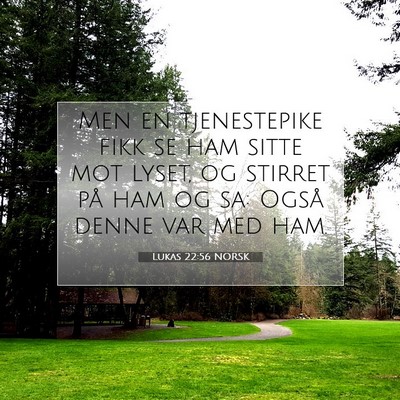 Picture 07 - Lukas 22:56 NORSK - Men en tjenestepike fikk se ham sitte mot lyset, - Bible Verse Picture