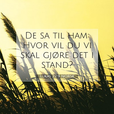 Picture 07 - Lukas 22:9 NORSK - De sa til ham: Hvor vil du vi skal gjøre det i - Bible Verse Picture
