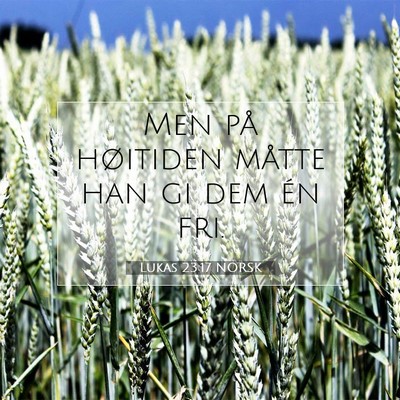 Picture 07 - Lukas 23:17 NORSK - Men på høitiden måtte han gi dem én - Bible Verse Picture