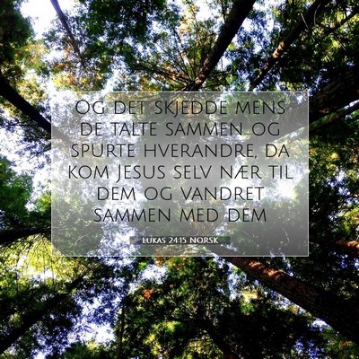 Picture 07 - Lukas 24:15 NORSK - Og det skjedde mens de talte sammen og spurte - Bible Verse Picture