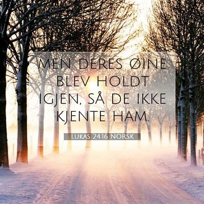 Picture 07 - Lukas 24:16 NORSK - men deres øine blev holdt igjen, så de ikke - Bible Verse Picture