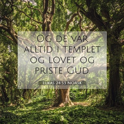 Picture 07 - Lukas 24:53 NORSK - Og de var alltid i templet og lovet og priste - Bible Verse Picture