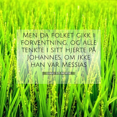 Picture 07 - Lukas 3:15 NORSK - Men da folket gikk i forventning, og alle tenkte - Bible Verse Picture