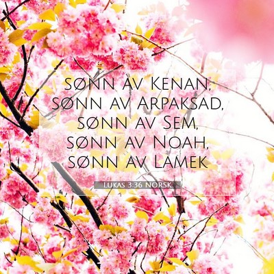 Picture 07 - Lukas 3:36 NORSK - sønn av Kenan, sønn av Arpaksad, sønn av Sem, - Bible Verse Picture