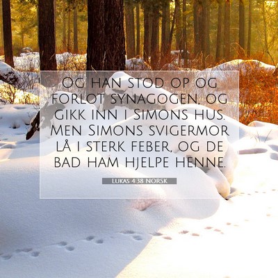 Picture 07 - Lukas 4:38 NORSK - Og han stod op og forlot synagogen, og gikk inn i - Bible Verse Picture