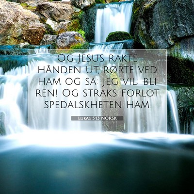 Picture 07 - Lukas 5:13 NORSK - Og Jesus rakte hånden ut, rørte ved ham og sa: - Bible Verse Picture