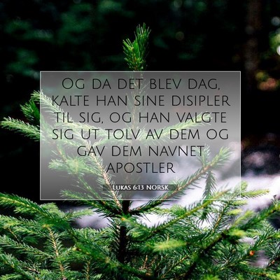 Picture 07 - Lukas 6:13 NORSK - Og da det blev dag, kalte han sine disipler til - Bible Verse Picture