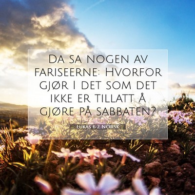Picture 07 - Lukas 6:2 NORSK - Da sa nogen av fariseerne: Hvorfor gjør I det - Bible Verse Picture