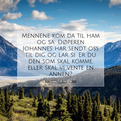 Picture 07 - Lukas 7:20 NORSK - Mennene kom da til ham og sa: Døperen Johannes - Bible Verse Picture