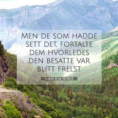 Picture 07 - Lukas 8:36 NORSK - Men de som hadde sett det, fortalte dem hvorledes - Bible Verse Picture