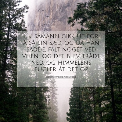 Picture 07 - Lukas 8:5 NORSK - En såmann gikk ut for å så sin sæd, og da han - Bible Verse Picture