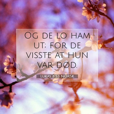Picture 07 - Lukas 8:53 NORSK - Og de lo ham ut; for de visste at hun var - Bible Verse Picture