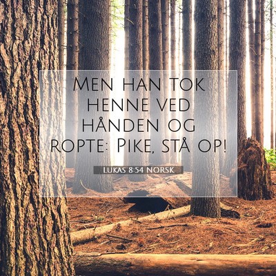 Picture 07 - Lukas 8:54 NORSK - Men han tok henne ved hånden og ropte: Pike, - Bible Verse Picture