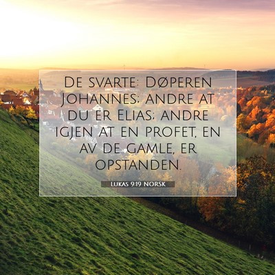 Picture 07 - Lukas 9:19 NORSK - De svarte: Døperen Johannes; andre at du er - Bible Verse Picture