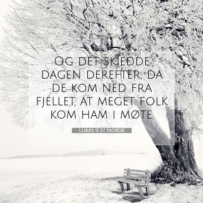 Picture 07 - Lukas 9:37 NORSK - Og det skjedde dagen derefter, da de kom ned fra - Bible Verse Picture