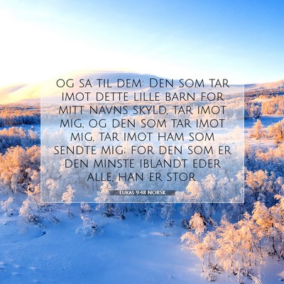 Picture 07 - Lukas 9:48 NORSK - og sa til dem: Den som tar imot dette lille barn - Bible Verse Picture