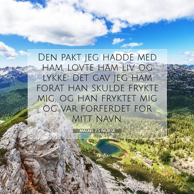 Picture 07 - Malaki 2:5 NORSK - Den pakt jeg hadde med ham, lovte ham liv og - Bible Verse Picture