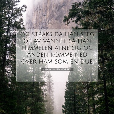 Picture 07 - Markus 1:10 NORSK - og straks da han steg op av vannet, så han - Bible Verse Picture