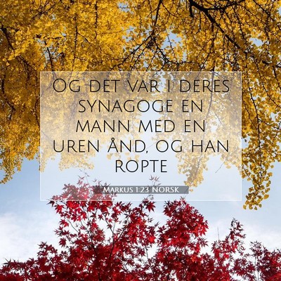 Picture 07 - Markus 1:23 NORSK - Og det var i deres synagoge en mann med en uren - Bible Verse Picture