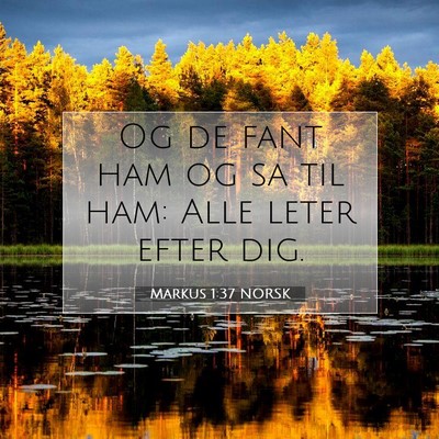 Picture 07 - Markus 1:37 NORSK - Og de fant ham og sa til ham: Alle leter efter - Bible Verse Picture