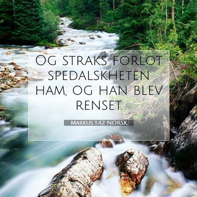 Picture 07 - Markus 1:42 NORSK - Og straks forlot spedalskheten ham, og han blev - Bible Verse Picture
