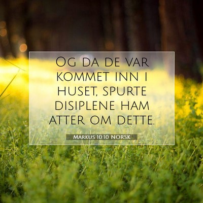 Picture 07 - Markus 10:10 NORSK - Og da de var kommet inn i huset, spurte disiplene - Bible Verse Picture