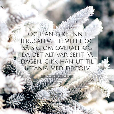 Picture 07 - Markus 11:11 NORSK - Og han gikk inn i Jerusalem i templet og så sig - Bible Verse Picture