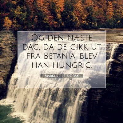 Picture 07 - Markus 11:12 NORSK - Og den næste dag, da de gikk ut fra Betania, - Bible Verse Picture