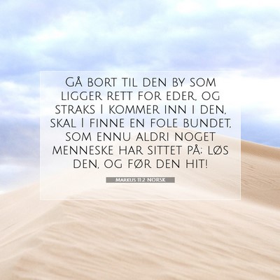 Picture 07 - Markus 11:2 NORSK - Gå bort til den by som ligger rett for eder, og - Bible Verse Picture
