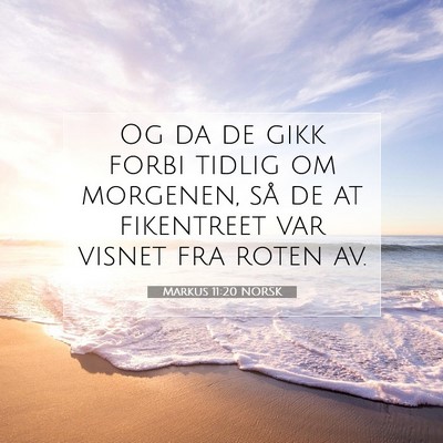 Picture 07 - Markus 11:20 NORSK - Og da de gikk forbi tidlig om morgenen, så de at - Bible Verse Picture