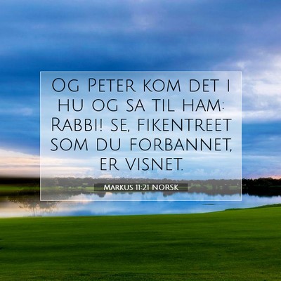 Picture 07 - Markus 11:21 NORSK - Og Peter kom det i hu og sa til ham: Rabbi! se, - Bible Verse Picture