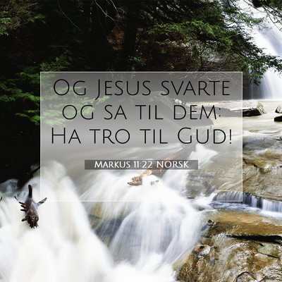 Picture 07 - Markus 11:22 NORSK - Og Jesus svarte og sa til dem: Ha tro til - Bible Verse Picture