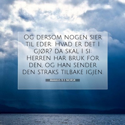 Picture 07 - Markus 11:3 NORSK - Og dersom nogen sier til eder: Hvad er det I - Bible Verse Picture