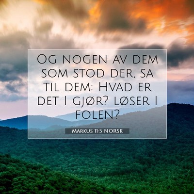Picture 07 - Markus 11:5 NORSK - Og nogen av dem som stod der, sa til dem: Hvad er - Bible Verse Picture