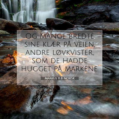 Picture 07 - Markus 11:8 NORSK - Og mange bredte sine klær på veien, andre - Bible Verse Picture
