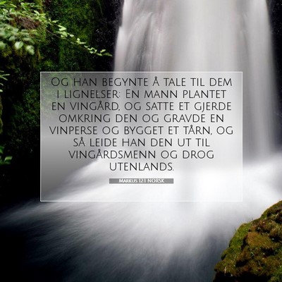 Picture 07 - Markus 12:1 NORSK - Og han begynte å tale til dem i lignelser: En - Bible Verse Picture