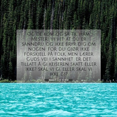 Picture 07 - Markus 12:14 NORSK - Og de kom og sa til ham: Mester! vi vet at du er - Bible Verse Picture