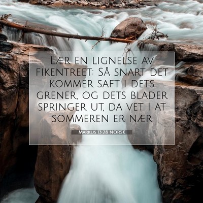 Picture 07 - Markus 13:28 NORSK - Lær en lignelse av fikentreet: Så snart det - Bible Verse Picture