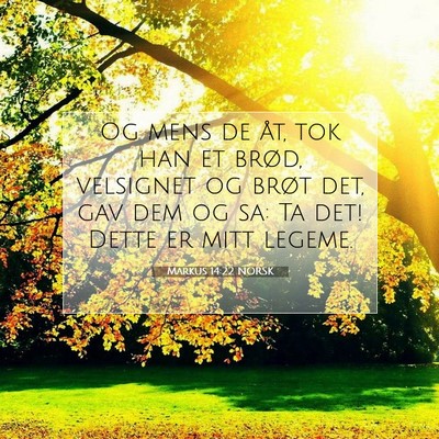 Picture 07 - Markus 14:22 NORSK - Og mens de åt, tok han et brød, velsignet og - Bible Verse Picture