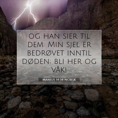 Picture 07 - Markus 14:34 NORSK - og han sier til dem: Min sjel er bedrøvet inntil - Bible Verse Picture