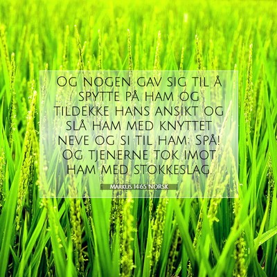Picture 07 - Markus 14:65 NORSK - Og nogen gav sig til å spytte på ham og - Bible Verse Picture