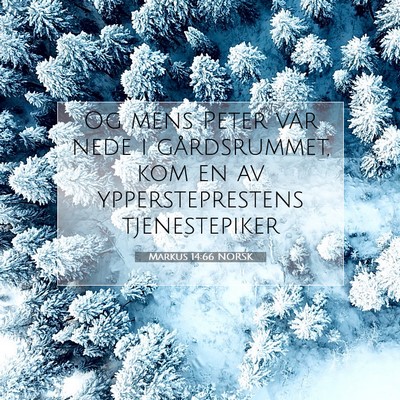 Picture 07 - Markus 14:66 NORSK - Og mens Peter var nede i gårdsrummet, kom en av - Bible Verse Picture