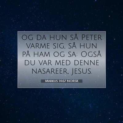 Picture 07 - Markus 14:67 NORSK - og da hun så Peter varme sig, så hun på ham og - Bible Verse Picture