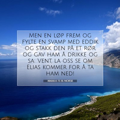 Picture 07 - Markus 15:36 NORSK - Men en løp frem og fylte en svamp med eddik og - Bible Verse Picture