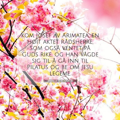 Picture 07 - Markus 15:43 NORSK - kom Josef av Arimatea, en høit aktet rådsherre, - Bible Verse Picture