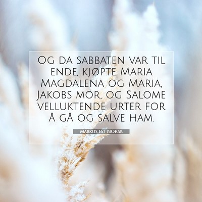 Picture 07 - Markus 16:1 NORSK - Og da sabbaten var til ende, kjøpte Maria - Bible Verse Picture