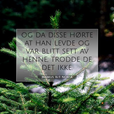Picture 07 - Markus 16:11 NORSK - og da disse hørte at han levde og var blitt sett - Bible Verse Picture