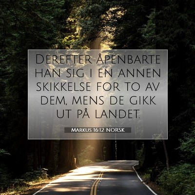 Picture 07 - Markus 16:12 NORSK - Derefter åpenbarte han sig i en annen skikkelse - Bible Verse Picture