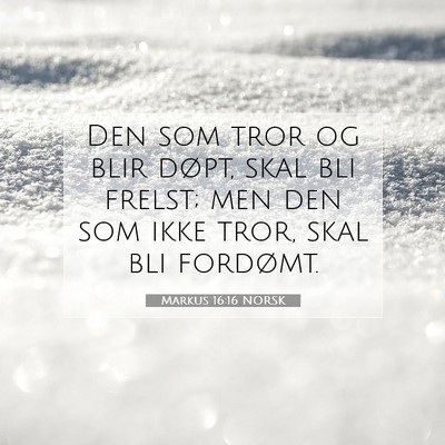 Picture 07 - Markus 16:16 NORSK - Den som tror og blir døpt, skal bli frelst; men - Bible Verse Picture