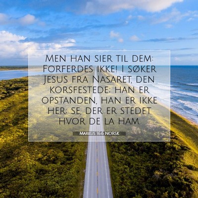 Picture 07 - Markus 16:6 NORSK - Men han sier til dem: Forferdes ikke! I søker - Bible Verse Picture